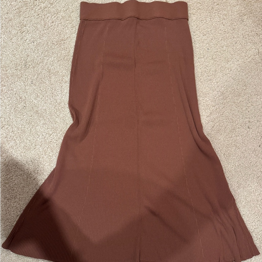 Everlane Skirt